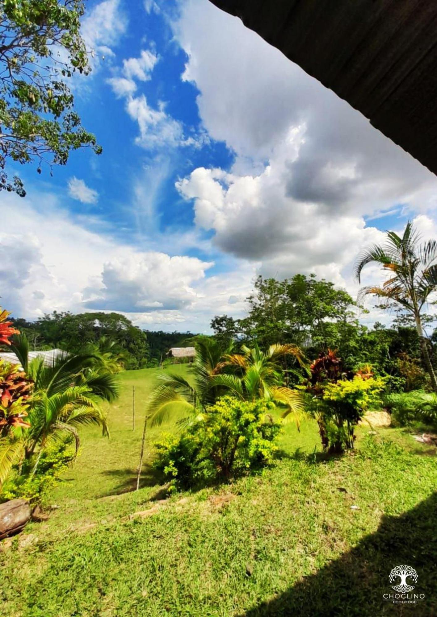 Choclino Ecolodge -Bungalows Tarapoto Zewnętrze zdjęcie