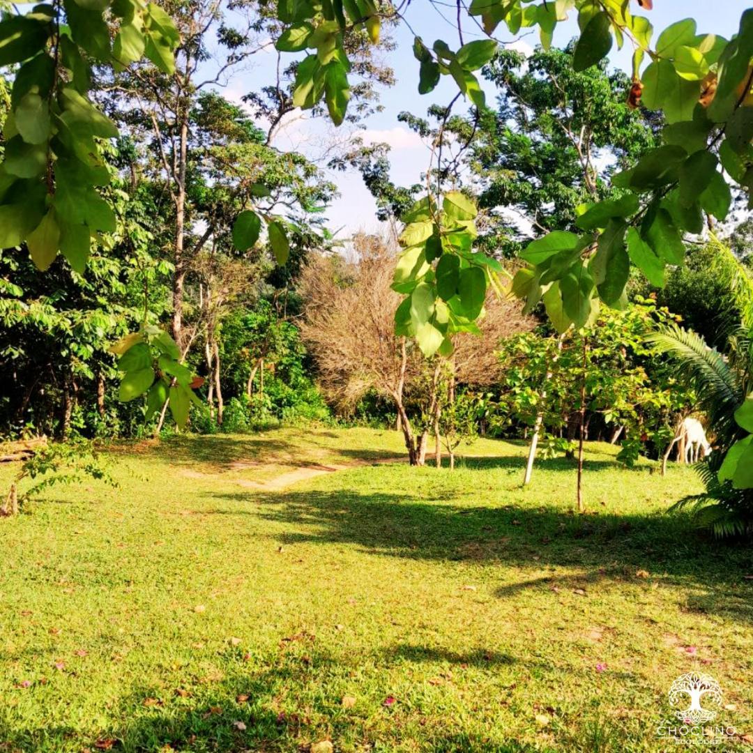 Choclino Ecolodge -Bungalows Tarapoto Zewnętrze zdjęcie