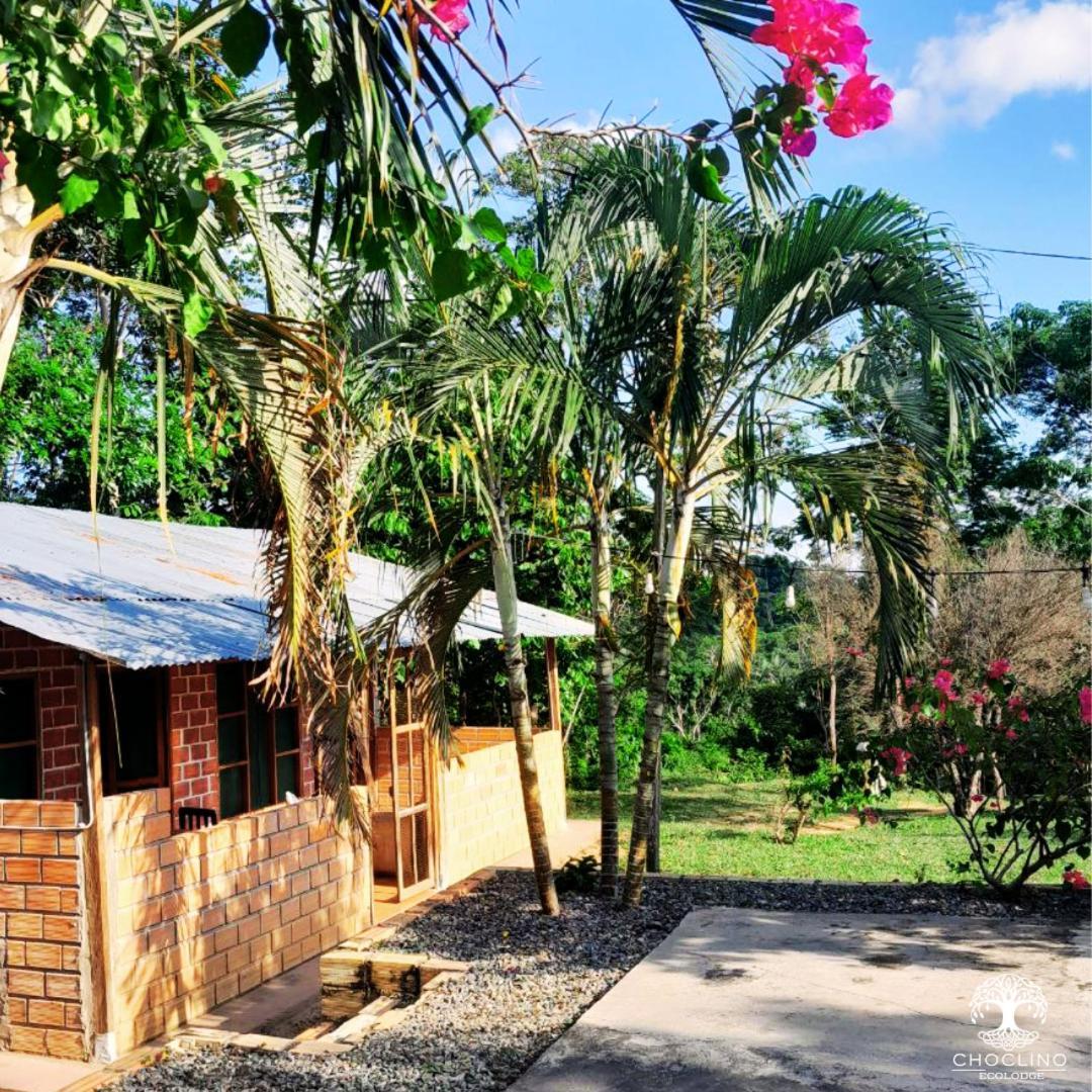 Choclino Ecolodge -Bungalows Tarapoto Zewnętrze zdjęcie