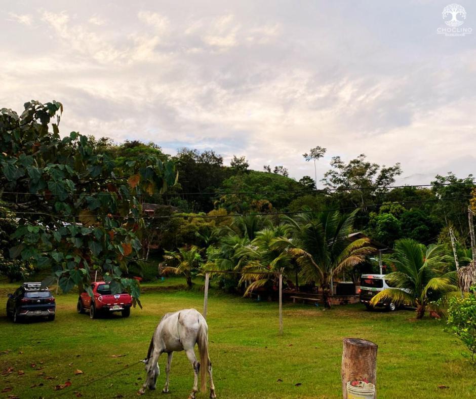 Choclino Ecolodge -Bungalows Tarapoto Zewnętrze zdjęcie