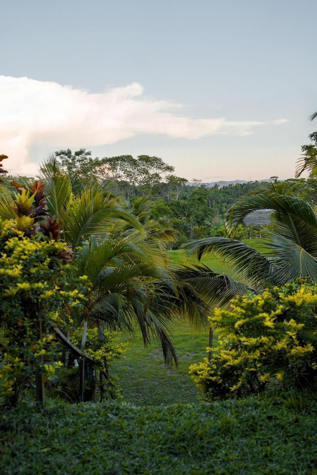 Choclino Ecolodge -Bungalows Tarapoto Zewnętrze zdjęcie